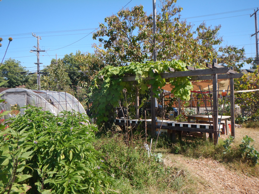 Photo of lush park greenhouse tent & gazebo