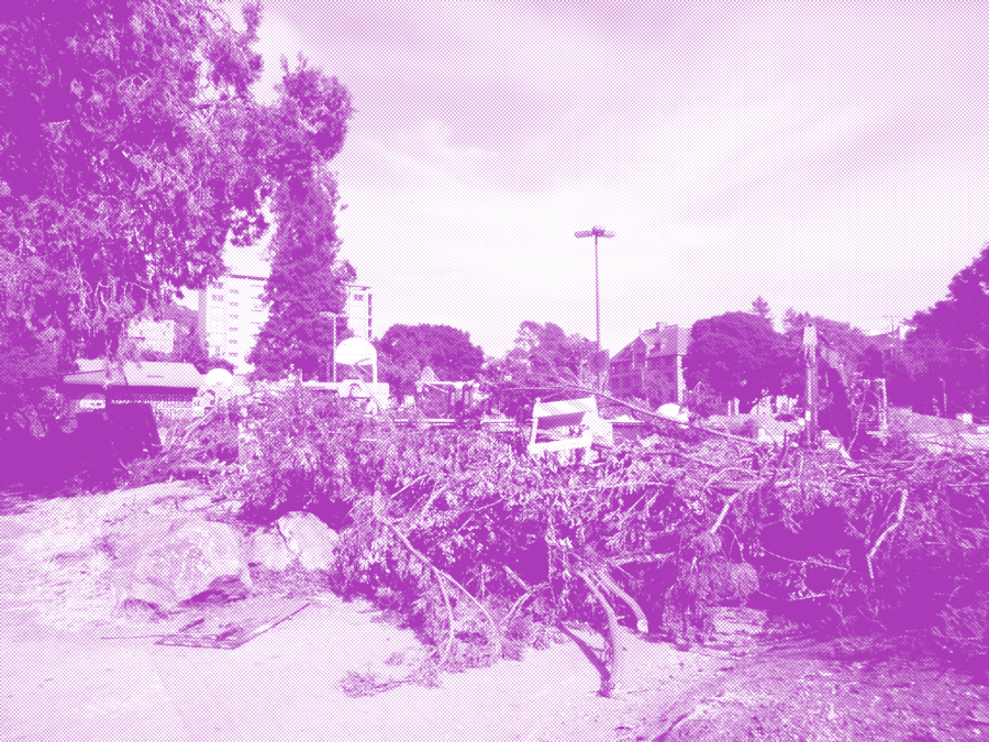 Pink distortion of photo of peoples park immediately after destruction